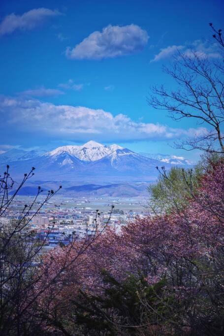 Furano Cube Sugar-方糖民宿,步行8Min到雪场,3 Brs,Max 6Ppl エクステリア 写真