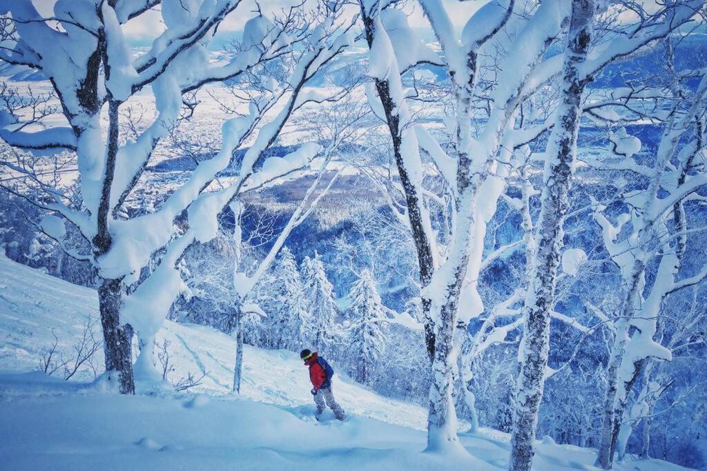 Furano Cube Sugar-方糖民宿,步行8Min到雪场,3 Brs,Max 6Ppl エクステリア 写真